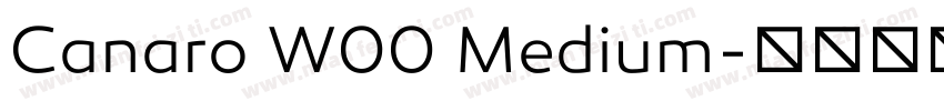 Canaro W00 Medium字体转换